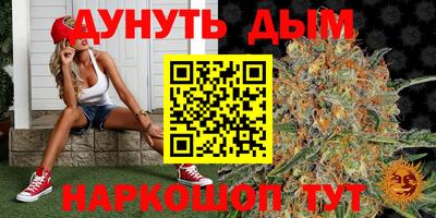 МДПВ Пенза