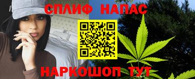 МДПВ Пенза
