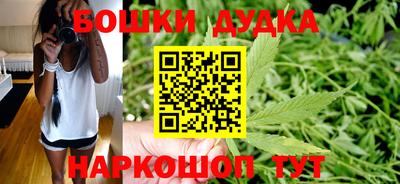 МДПВ Пенза